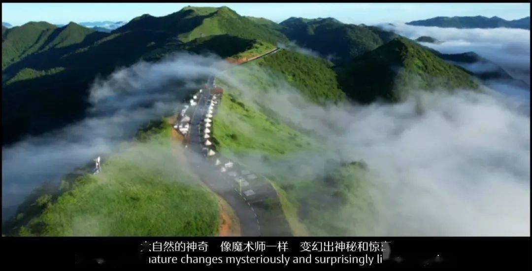 郭采洁解锁荷兰版封面大片，《再见爱人2》开播分享感悟，她是怎么成名的？